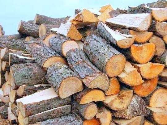 Drewno drzewo opałowe ogrzewanie