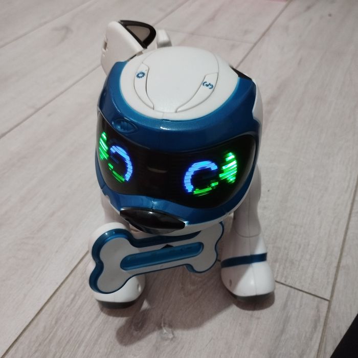 Robopies interaktywny, piłka, kość.