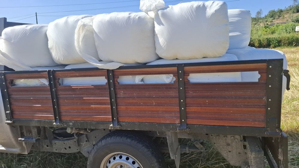 Fardos de feno silagem de azevém