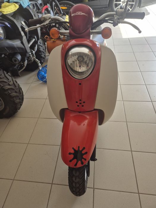 honda scoopy - купить мототехнику - Цена на OLX.ua