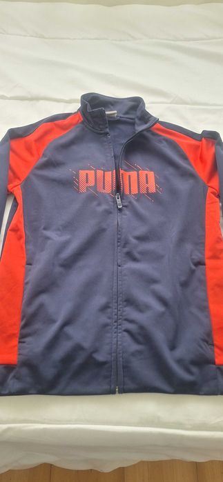 Puma Tracksuit493479945611530240