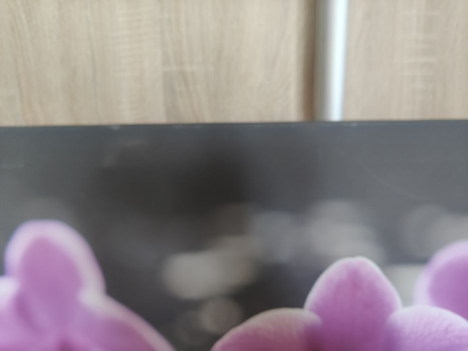 Obraz lilie storczyki oleandry duży 105x70