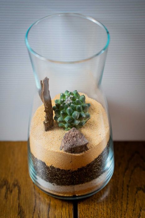 Mini terrário de cacto em jarra de vidro 20 cm – decoração / presente
