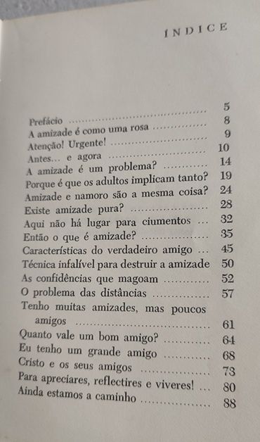 Livro “O Problema é… Amizade” – Coleção Padre Zezinho – Edições Paulis