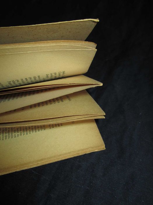 Livro Os Inéditos de Fernando Pessoa e os critérios do Gaspar Simões