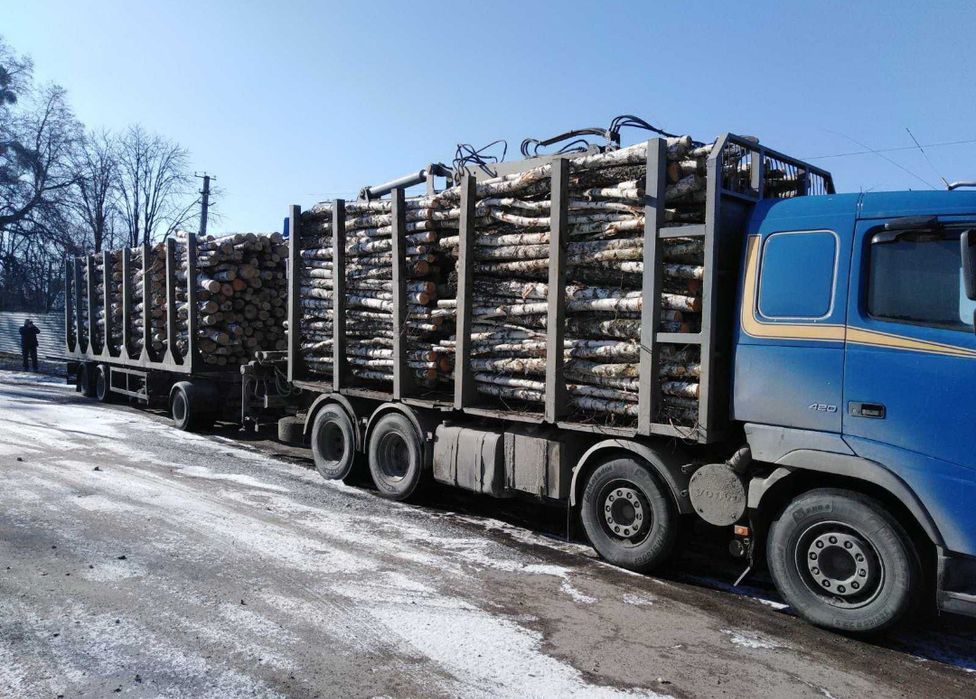 Без передплат і посередників. Дубові дрова. (4-15 м3)