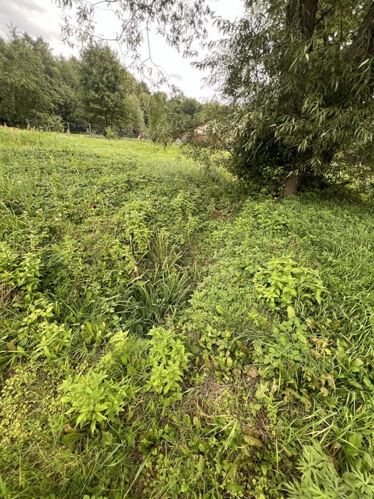 Działka budowlana 1269 m² | Nekielka | rozpoczęta budowa | las | jezioro . - Więcej