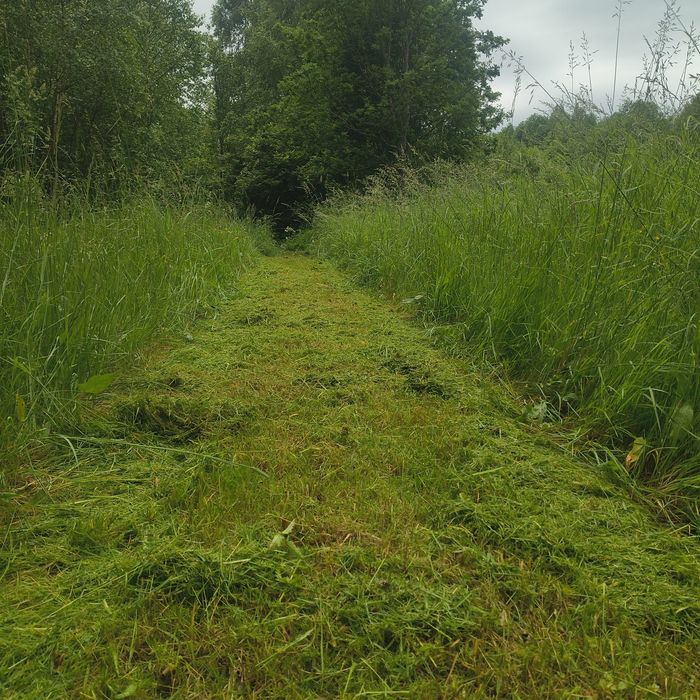 Wycinka drzew, koszenie trawy, rębak, wycinanie krzaków, podcinanie ga