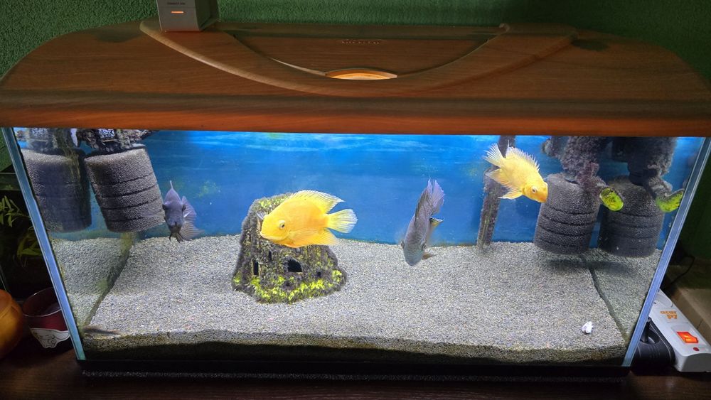 Sprzedam akwarium lub jak również posłuży do terrarium.