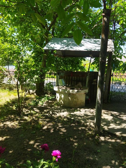 Хата  в Одеській області