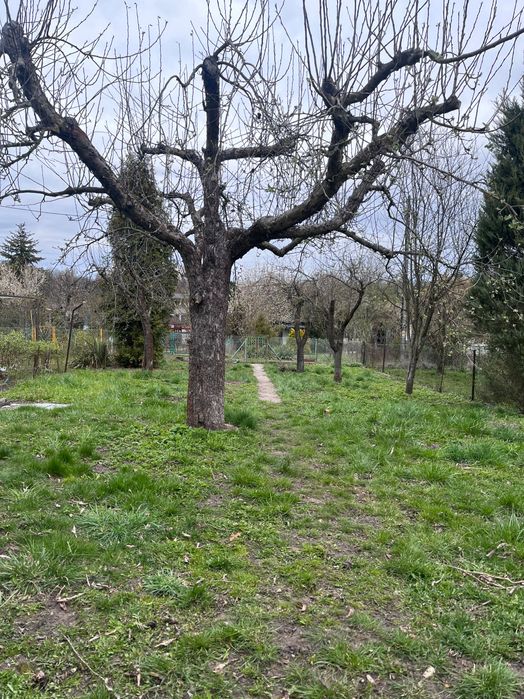 Działka ROD Tysiąclecia 300m2; murowany domek