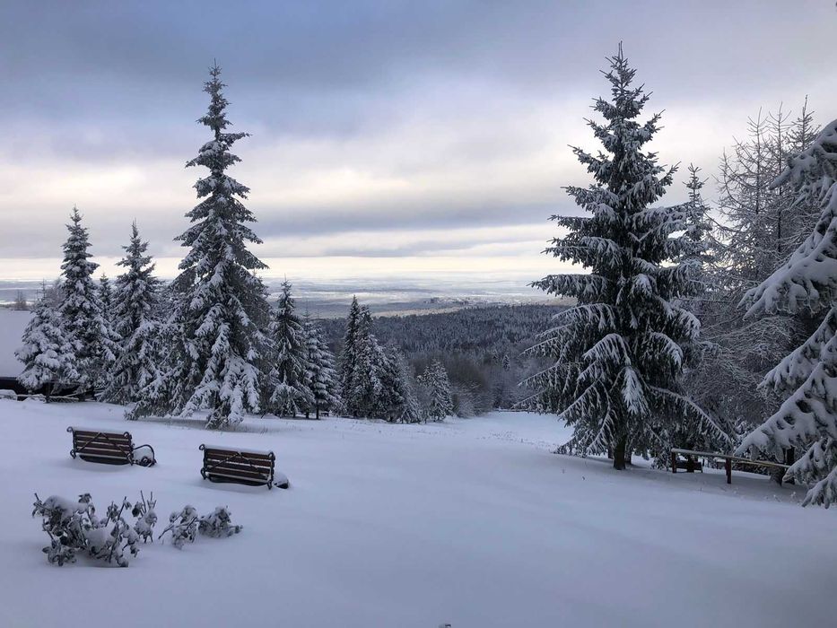 Готель у Карпатах: зимова акція 4+1, пакети для 2-х і сім’ї