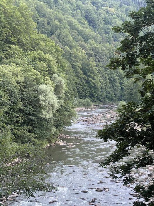 Квартира в Яремче