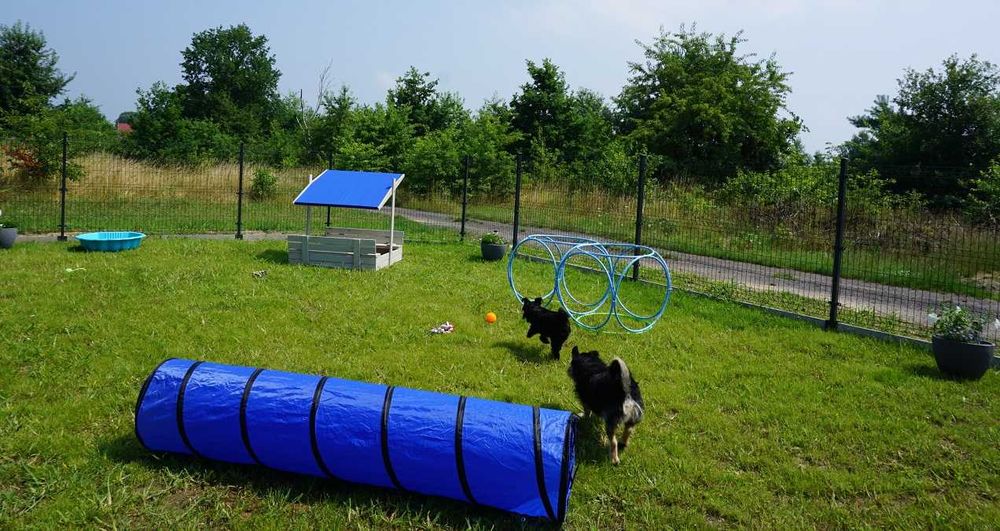 KOŁTUNEK - hotel dla MAŁYCH psów