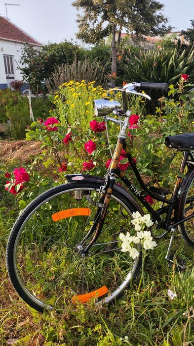 Bicicleta Ye Ye Senhora