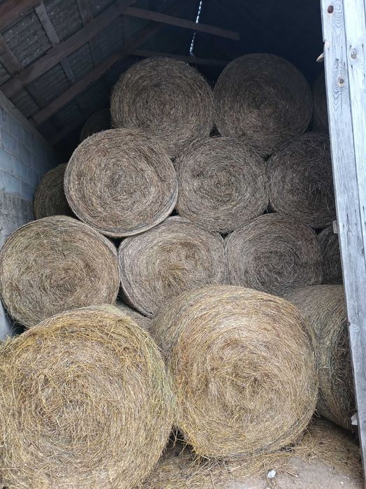 Siano ładne suche pachnące