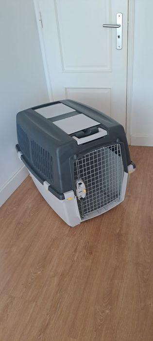 Acessórios para cães