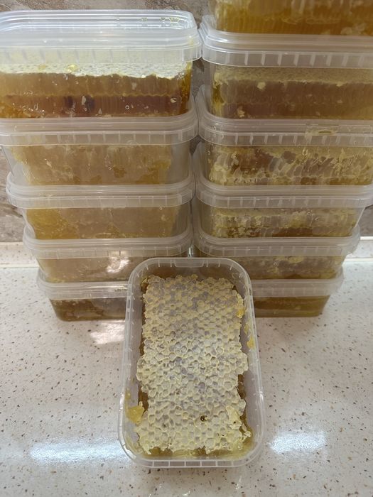 Мед в сотах натуральний