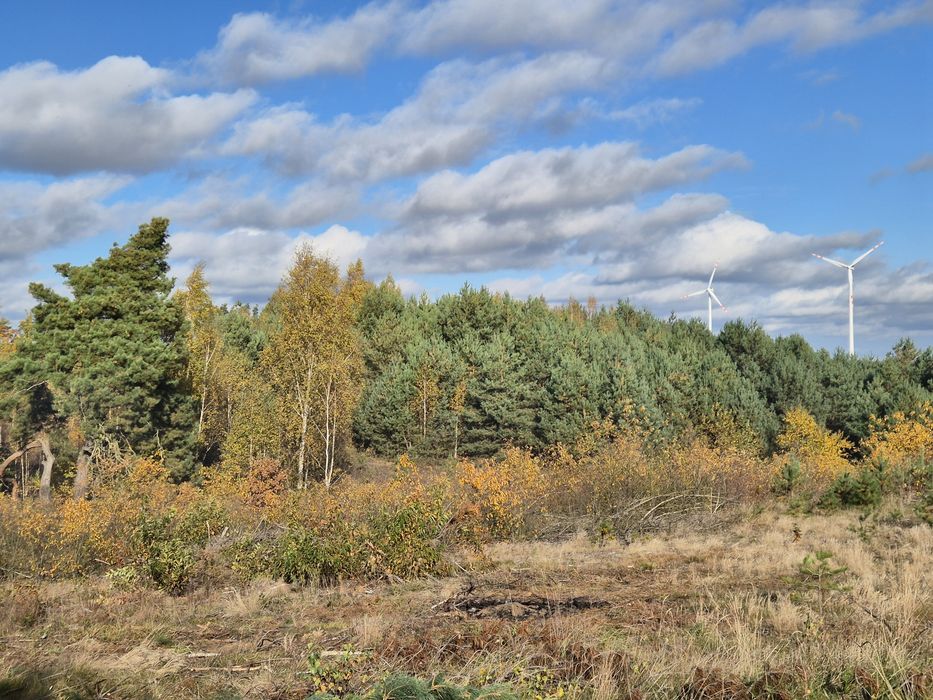 Działka budowlana - Widok 3