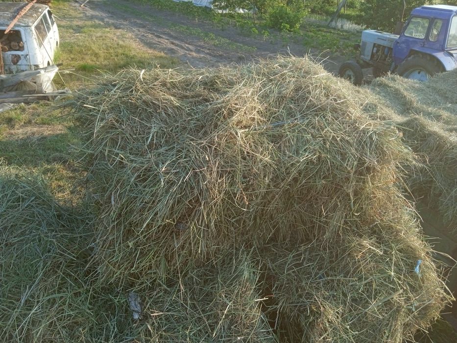 Сіно різнотрав'я в тюках