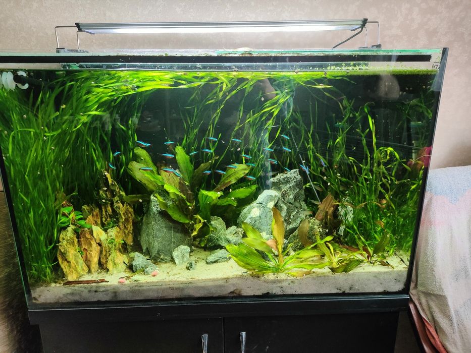 Акваріум на тумбі 140 л