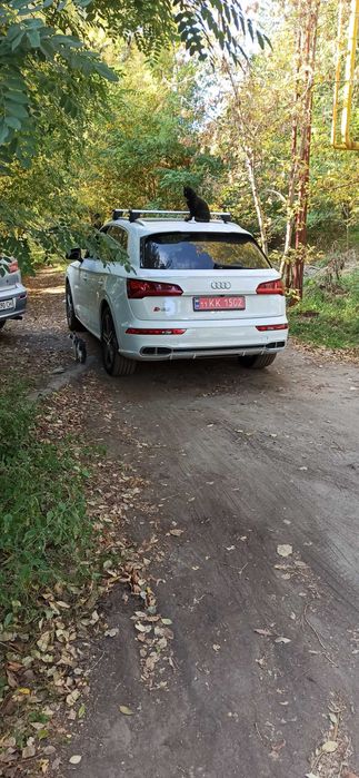 Audi sq5 2019 3 литра