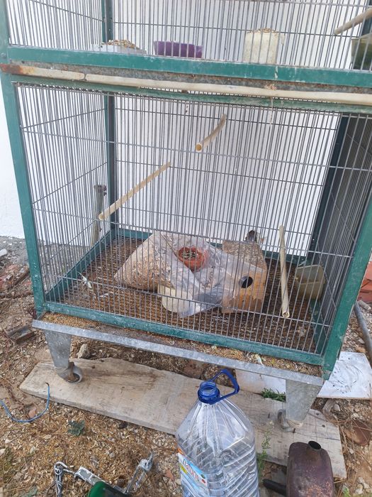 Viveiro para aves
