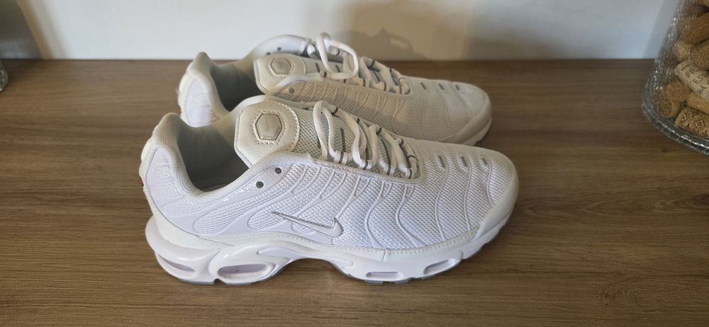 Nike Air Max Plus (41)
