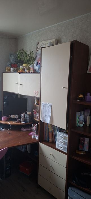 Письмовий стіл та шкаф. Стінка