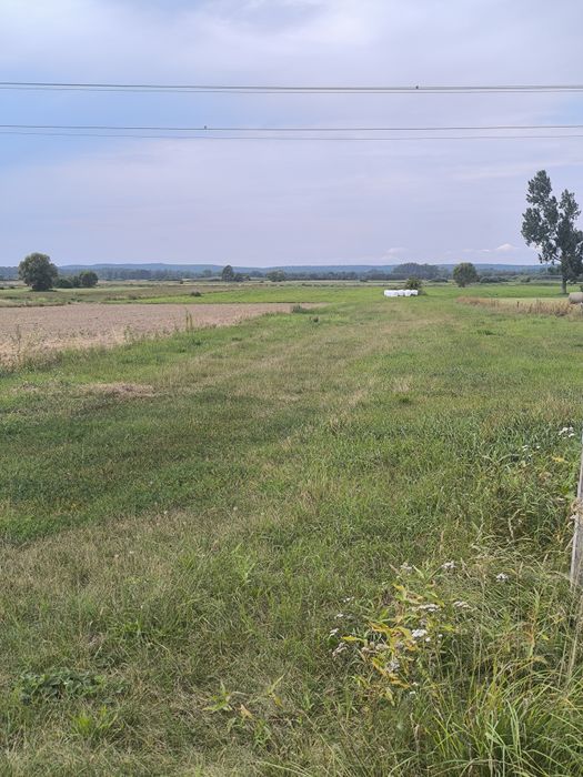 Działka pod Mławą  30arów pod budowę domu
