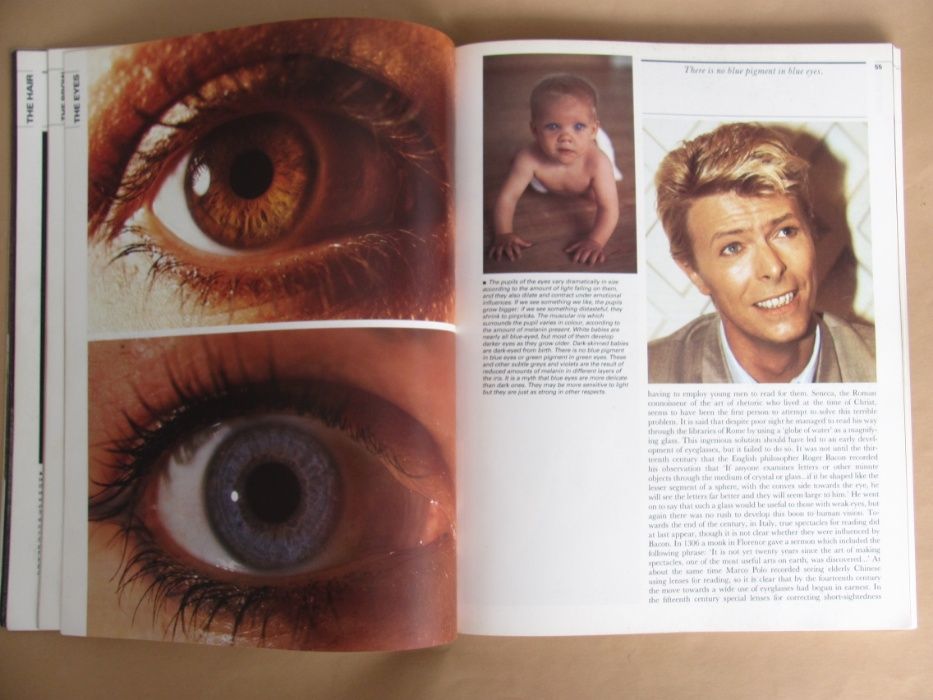 Bodywatching de Desmond Morris