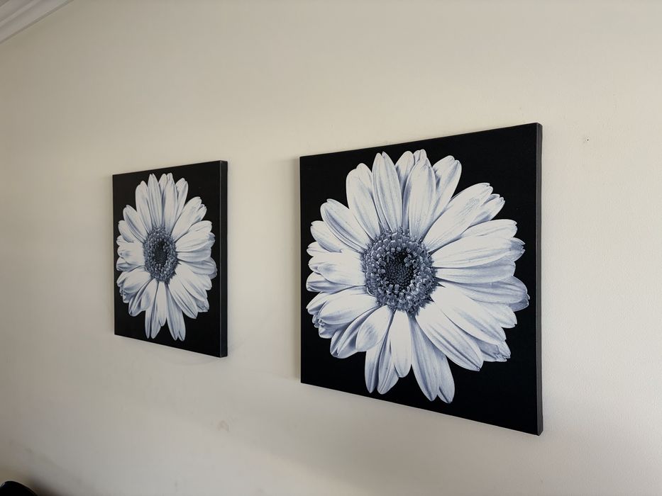 Quadros vários excelente estado