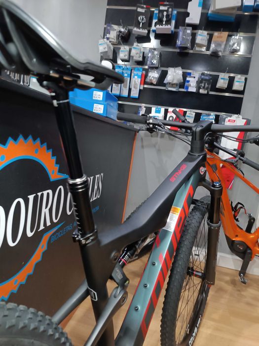 Bicicleta Coluer stake