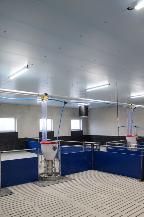 Podsufitka do Budynków Inwentarskich i Magazynowych Styrodur XPS AGRO