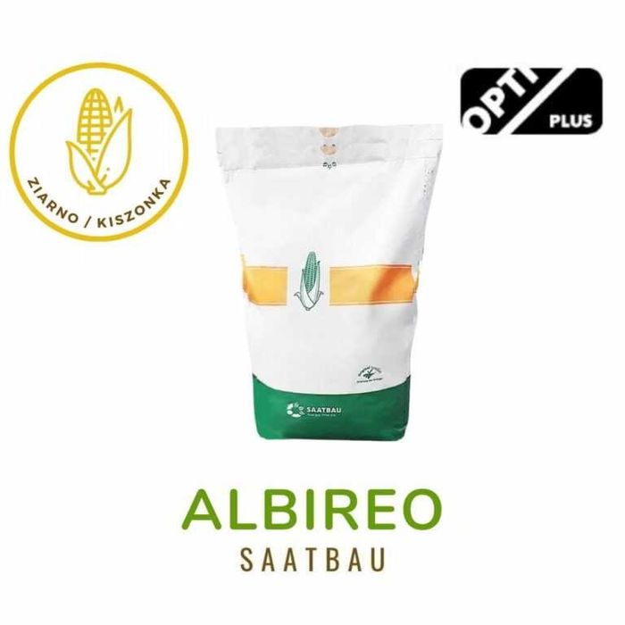 Nasiona kukurydzy - Albireo (Saatbau) – FAO 260 – 50 tys. nasion