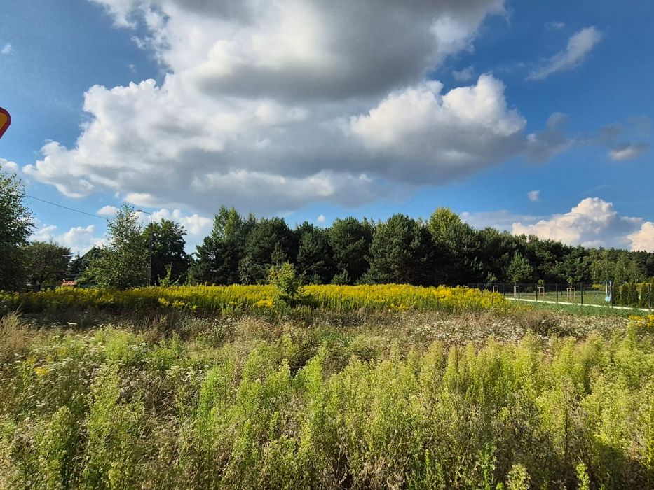 Działka w Łubiance 1240m