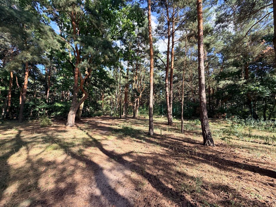 Mieszkanie – Bydgoszcz, Zawisza - Widok 2