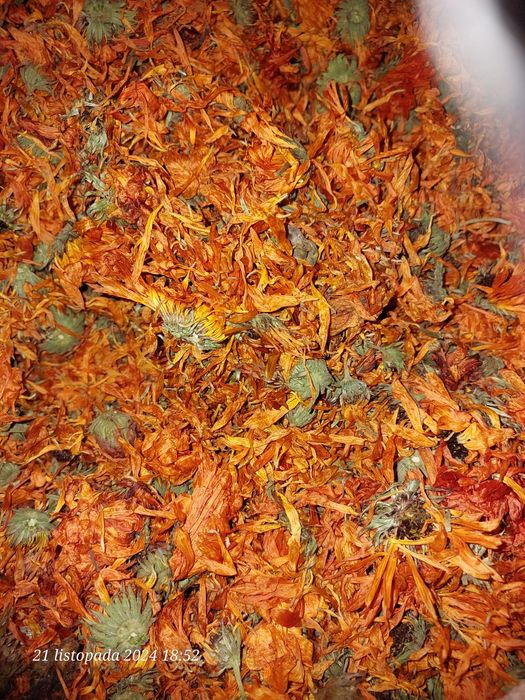 Nagietek lekarski kwiat suszony 100g