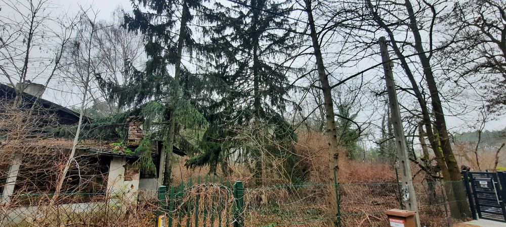 sprzedam działkę ze starym domem letniskowym w Żabiczkach k/ Łodzi