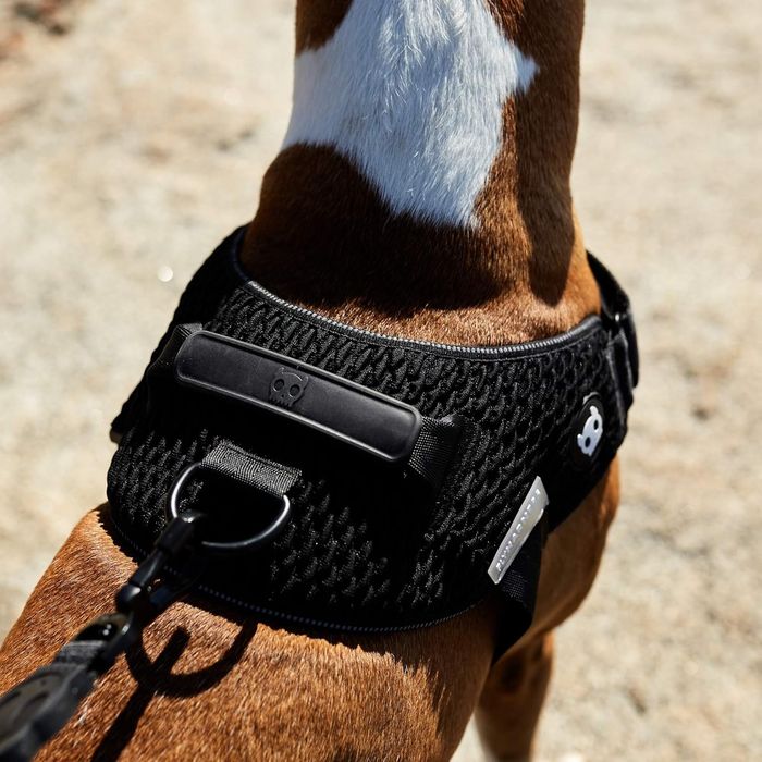 ZEE DOG czarne Szelki dla psa Fly harness Gotham, różne rozmiary