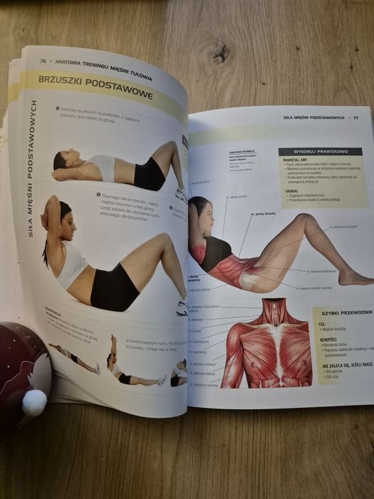 Anatomia treningu mięśni tułowia