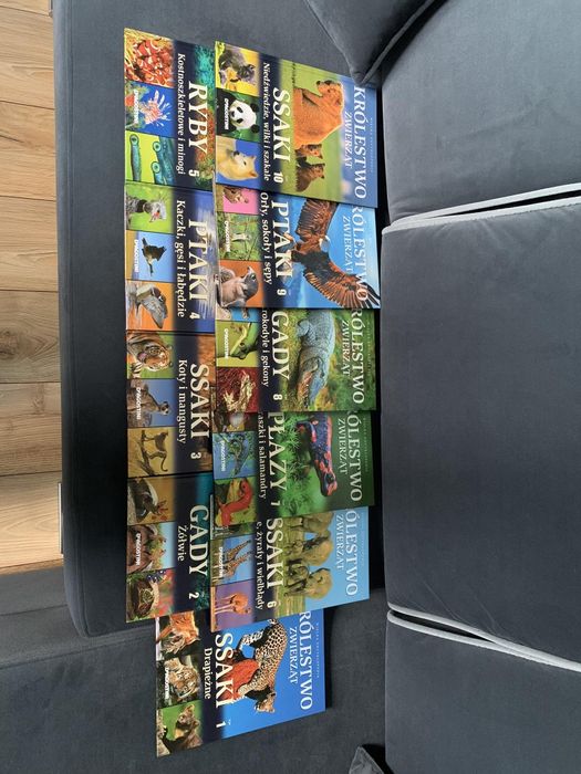 Zestaw książeczek edukacyjnych ssaki ptaki gady itd.