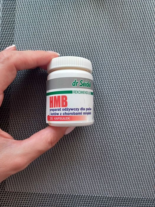 HMB dla psa i kota
