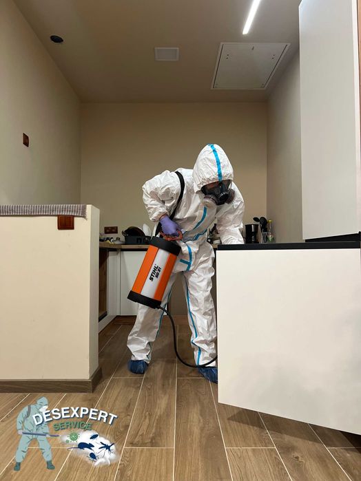 Знищення тарганів, клопів, бліх. Гарантія результату. Дезінсекція