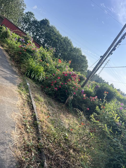 Jardinagem e Limpeza de Terrenos - Aveiro e região