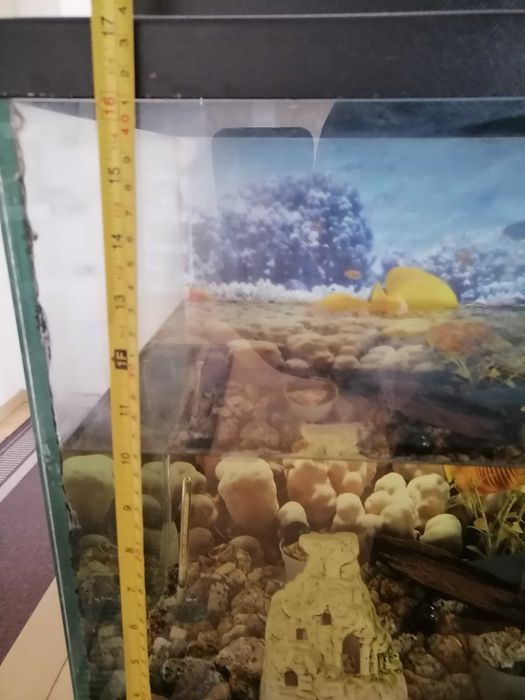 Akwarium 70 litrów