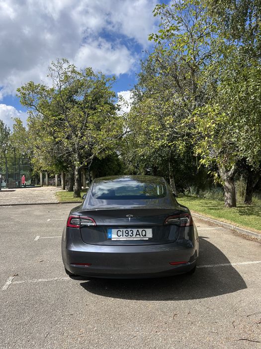 Tesla Model 3 Standart RWD Plus
