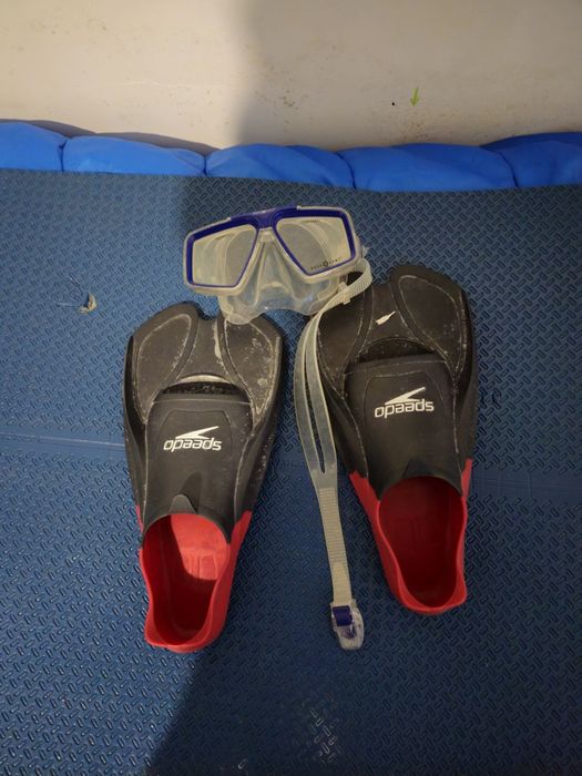 Kit Mergulho: Barbatanas Speedo + Máscara Aqua Lung Profissional