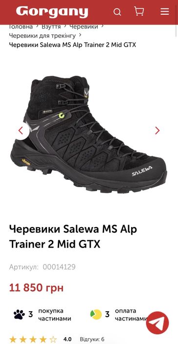 взуття salewa gore-tex