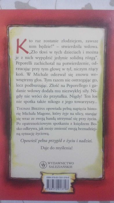 Michał Magone i prawdziwa odwaga. Thomas Brezina Dla dzieci